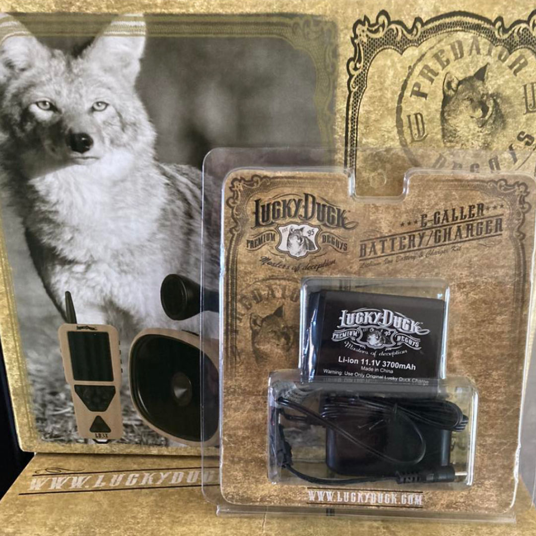 NEW PRODUCTS